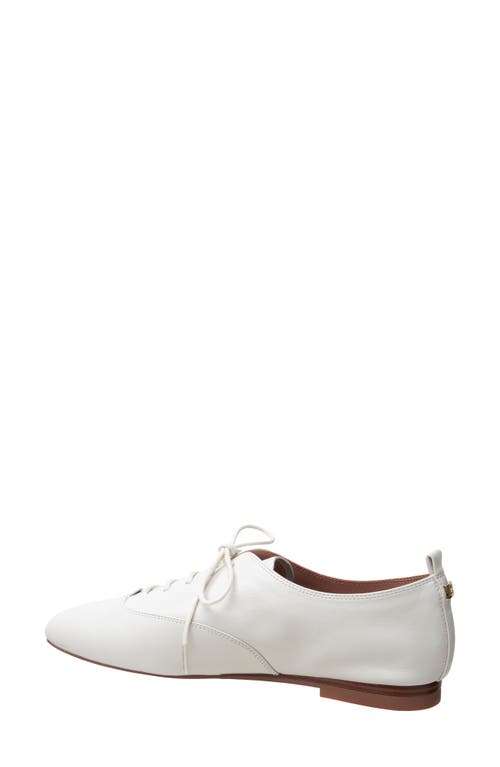 Linea Paolo Mirna Oxford Flat In White
