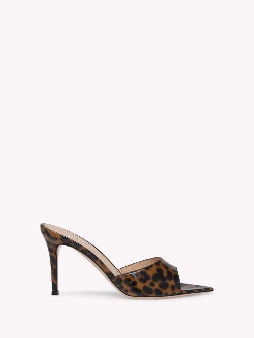 Gianvito Rossi Elle 85 Mule In Brown