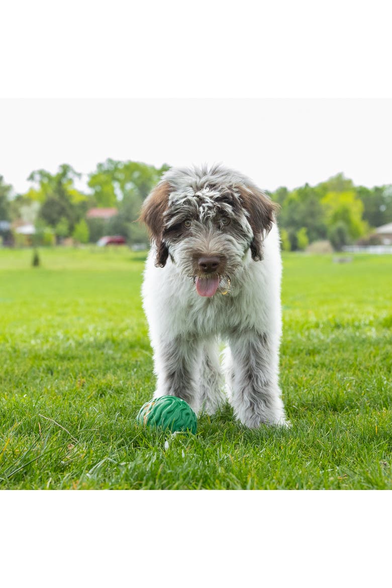 Luna Ball, 4 Inches, Large, Green, Dog & Puppy Toy, Alternate, color, Green