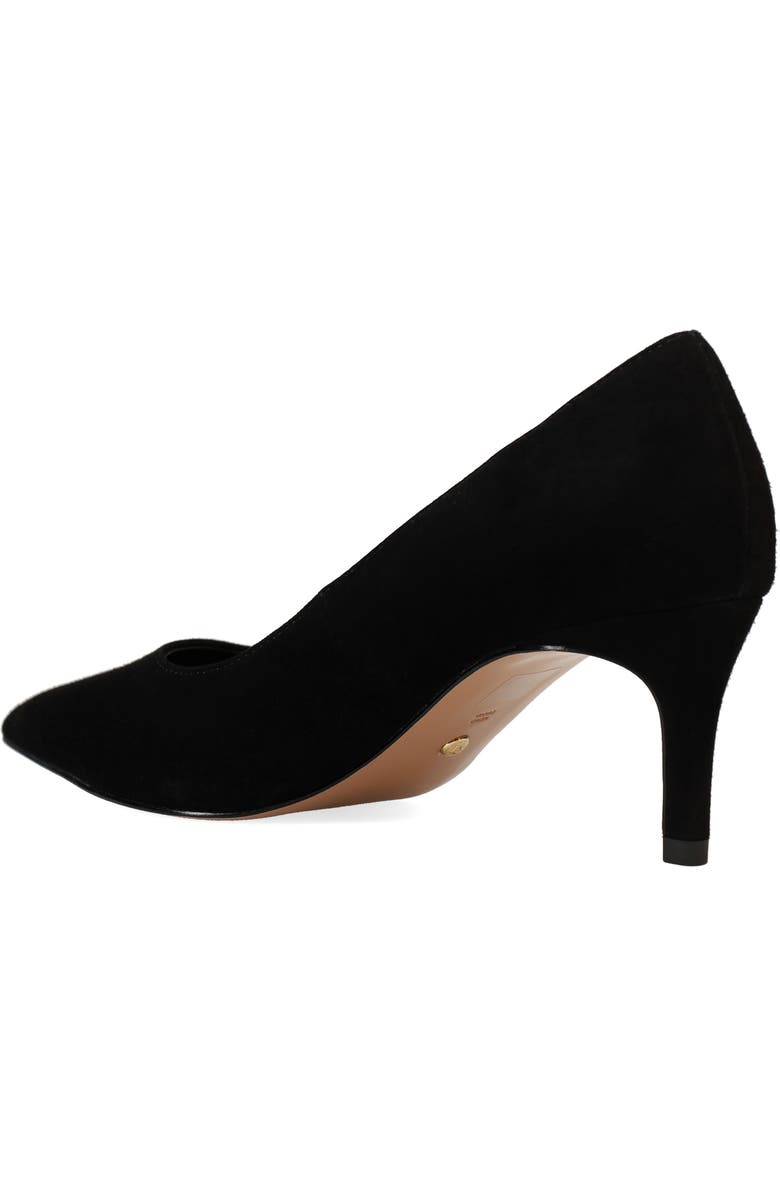 Pelle Moda Lailoni Pointed Toe Pump, Alternate, color, Black