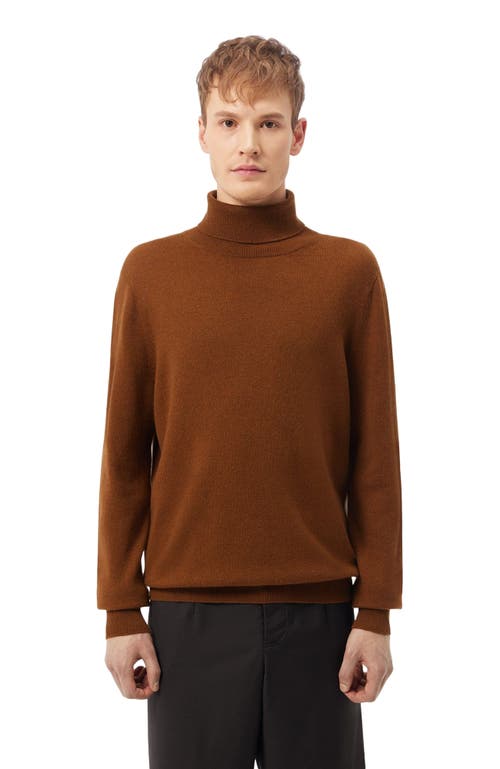 Gobi Mongolian Cashmere Cashmere Turtle Neck Sweater In Brown
