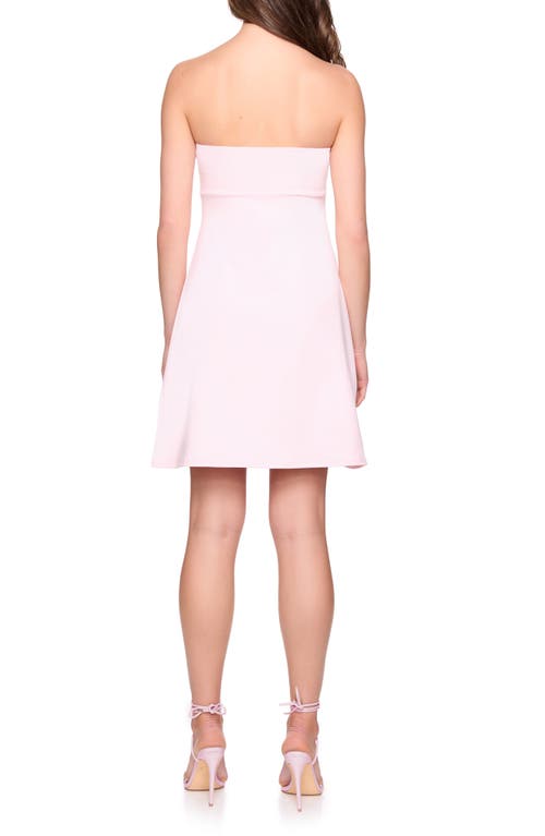 Susana Monaco Strapless Fit & Flare Tube Dress