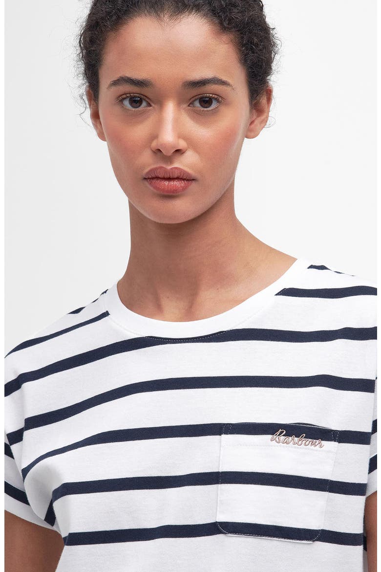 Otterburn Stripe T-Shirt, Alternate, color, WHITE/NAVY