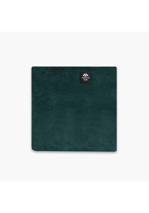 Turtle Fur Double-layer Fleece Neck Warmer In Green