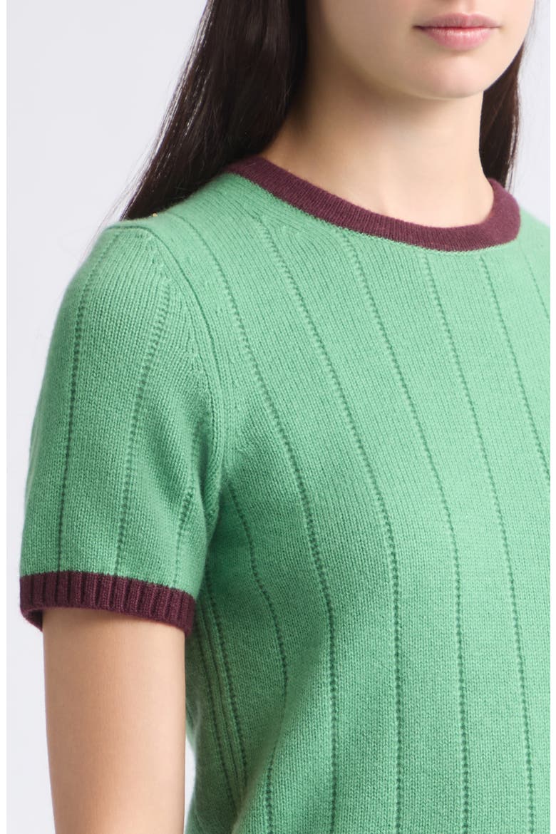 Ribbed Cashmere Ringer Tee, Alternate, color, HIGHLAND/ FIG