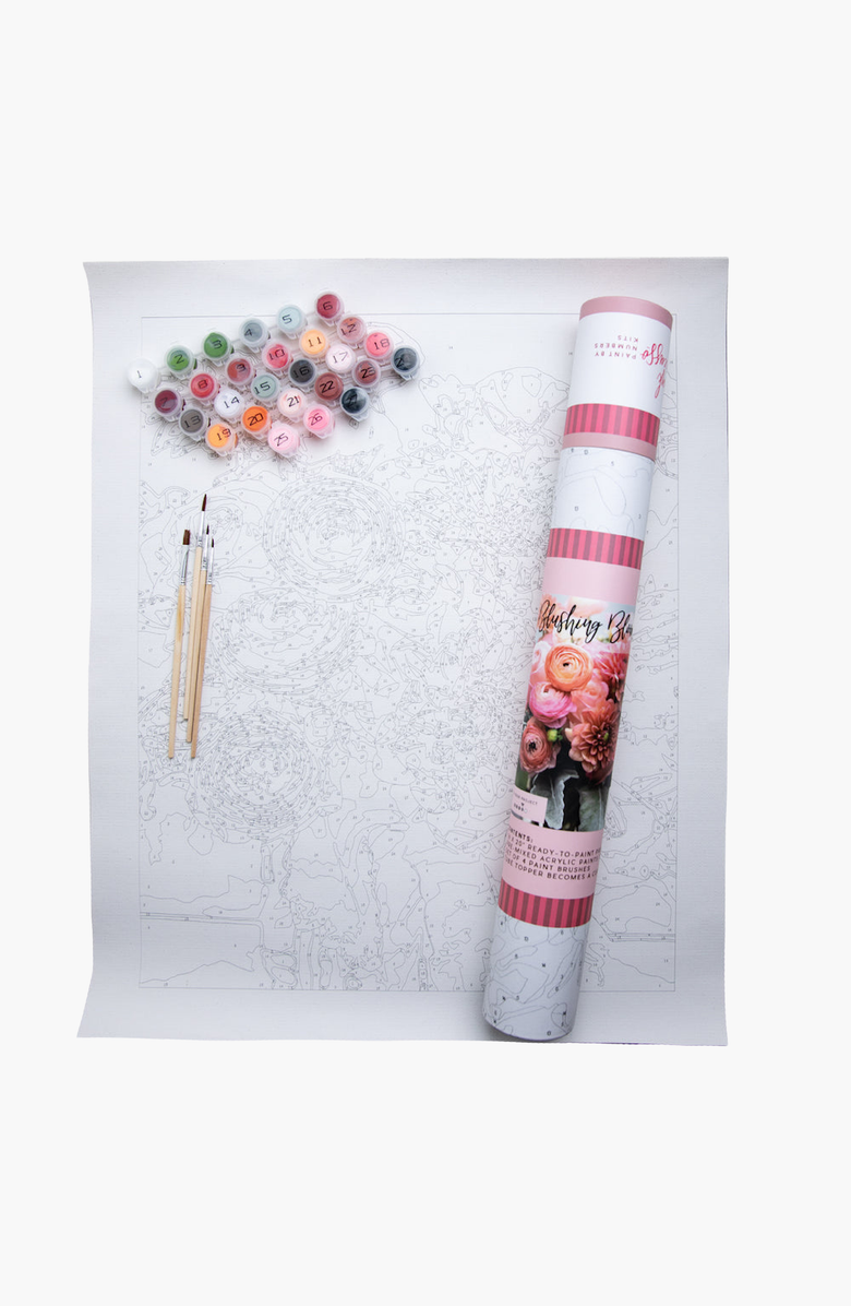 Pink Picasso Kits Blushing Blooms Paint by Numbers Kit, Alternate, color, Pink / Peach
