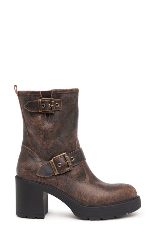 Nerogiardini Double Buckle Moto Bootie In Brown