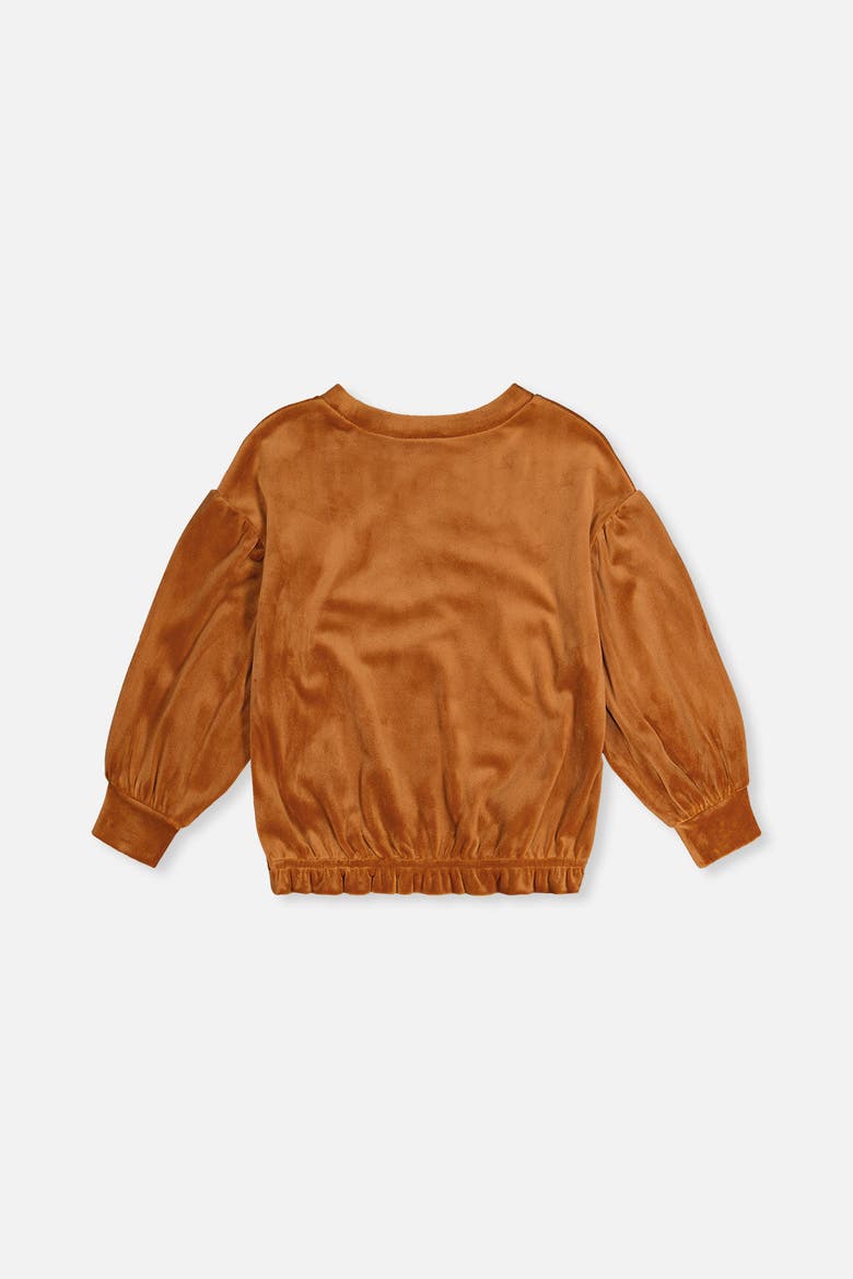 Velvet Shimmer Flower Appliqué Elastic Hem Top, Alternate, color, Brown