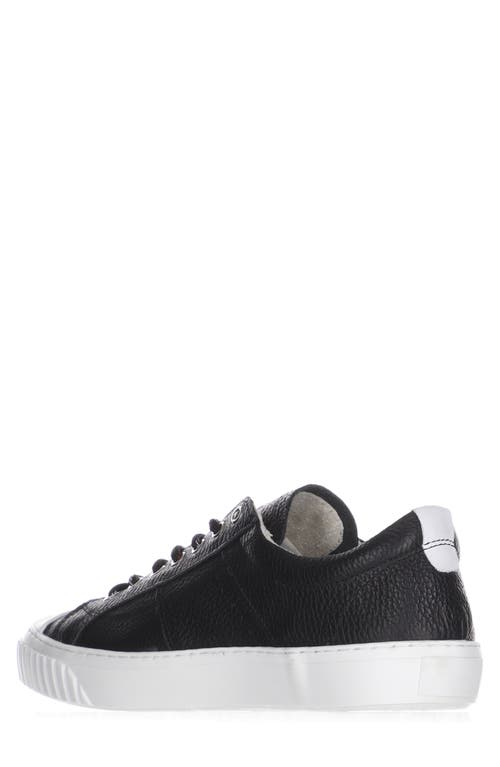 Pajar Trevor Low Top Sneaker In Black