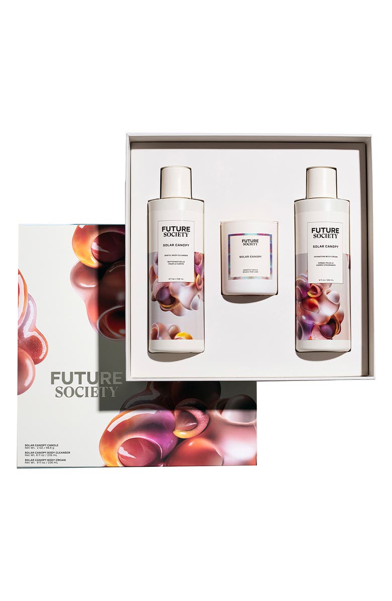 Future Society Deluxe Solar Canopy 3-Piece Set, Alternate, color,