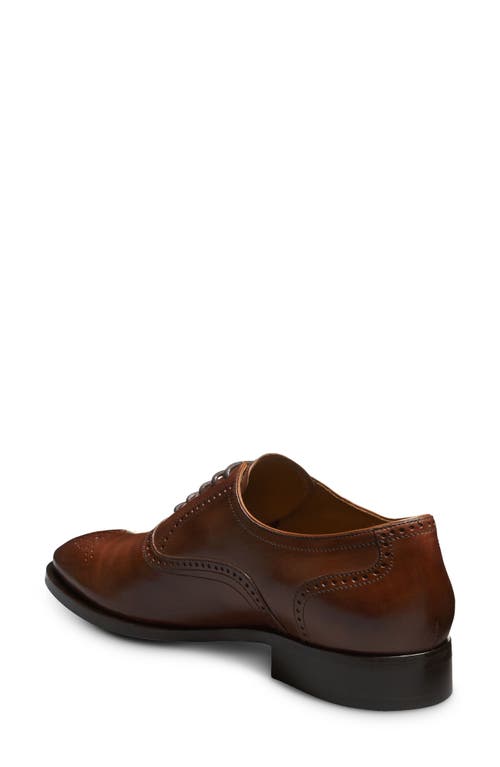 Allen Edmonds Siena Brogue Oxford In Chili