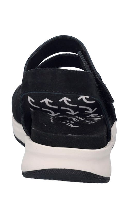 Josef Seibel Estelle 06 Sandal In Black