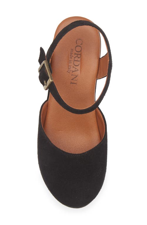 Cordani Warner Ankle Strap Platform Clog In Black