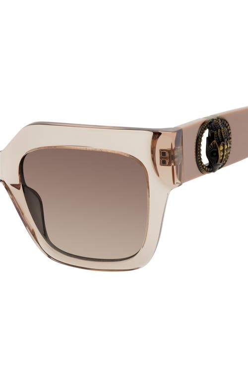 Kurt Geiger London 50mm Square Sunglasses In Beige/brown Gradient