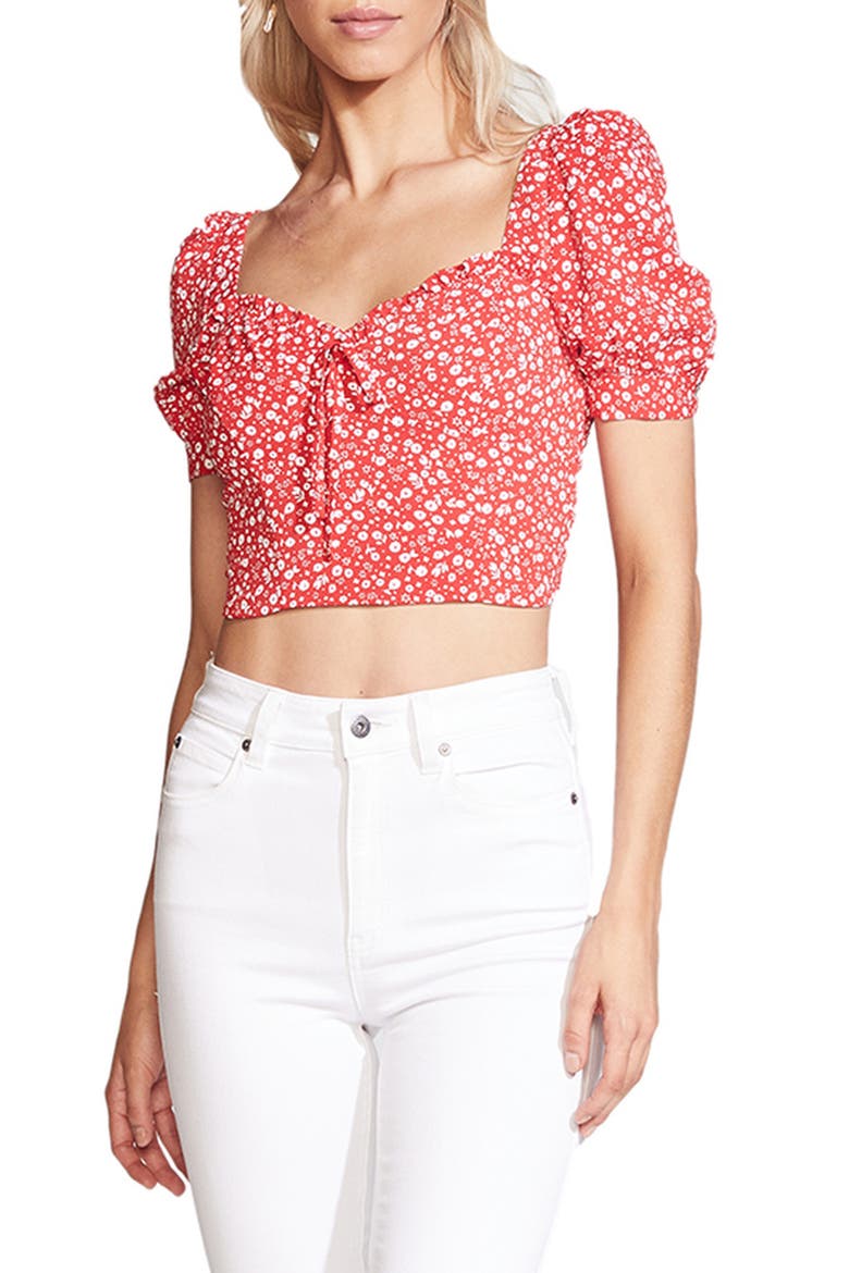 Ditsy Floral Crop Top, Main, color, RED FLORAL