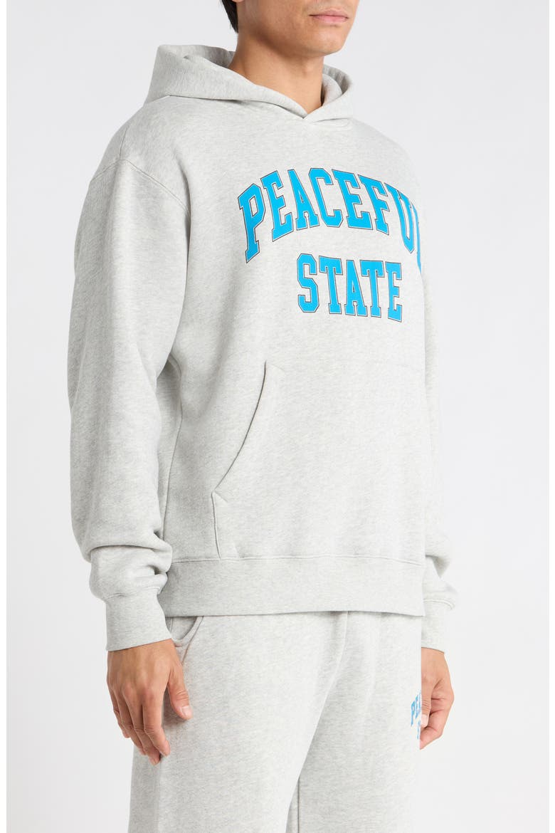 Peaceful Cotton Fleece Hoodie, Alternate, color, ASH