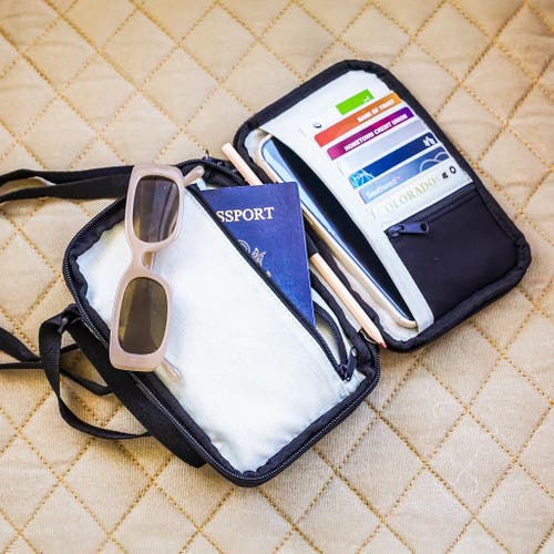 Sherpani Simplicity Anti Theft Crossbody Wallet Bag In Sterling