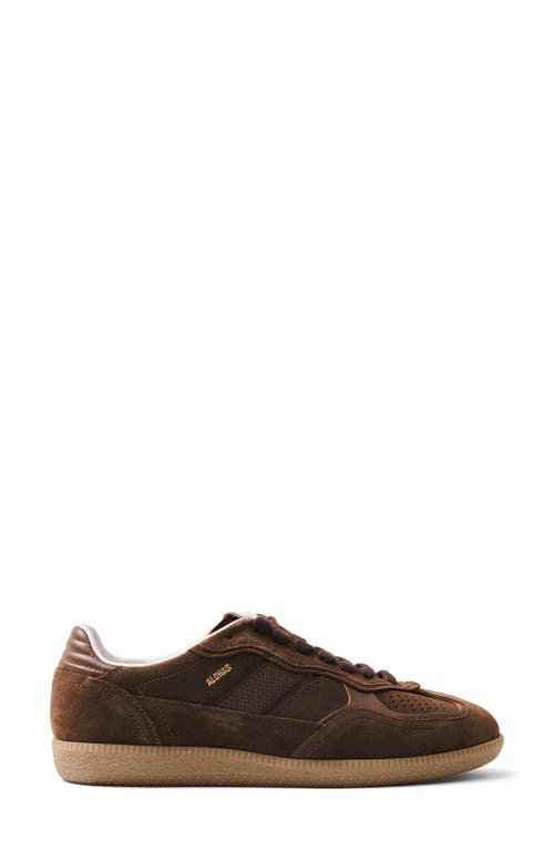 Shop Alohas Tb.490 Rife Sneaker In Brown