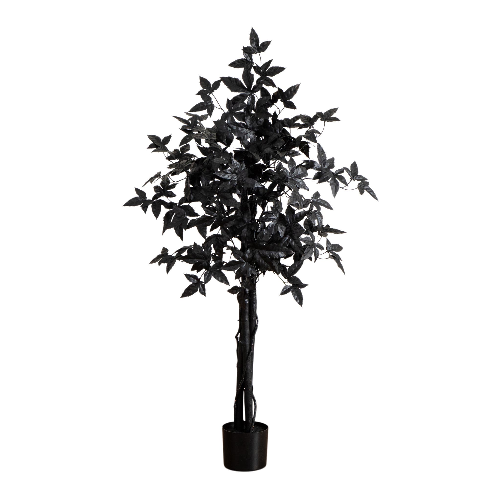 selected Black