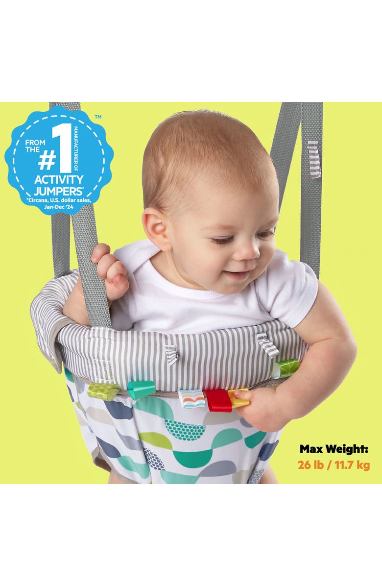 BRIGHT STARTS Playful Parade Door Jumper, Alternate, color, Multicolored