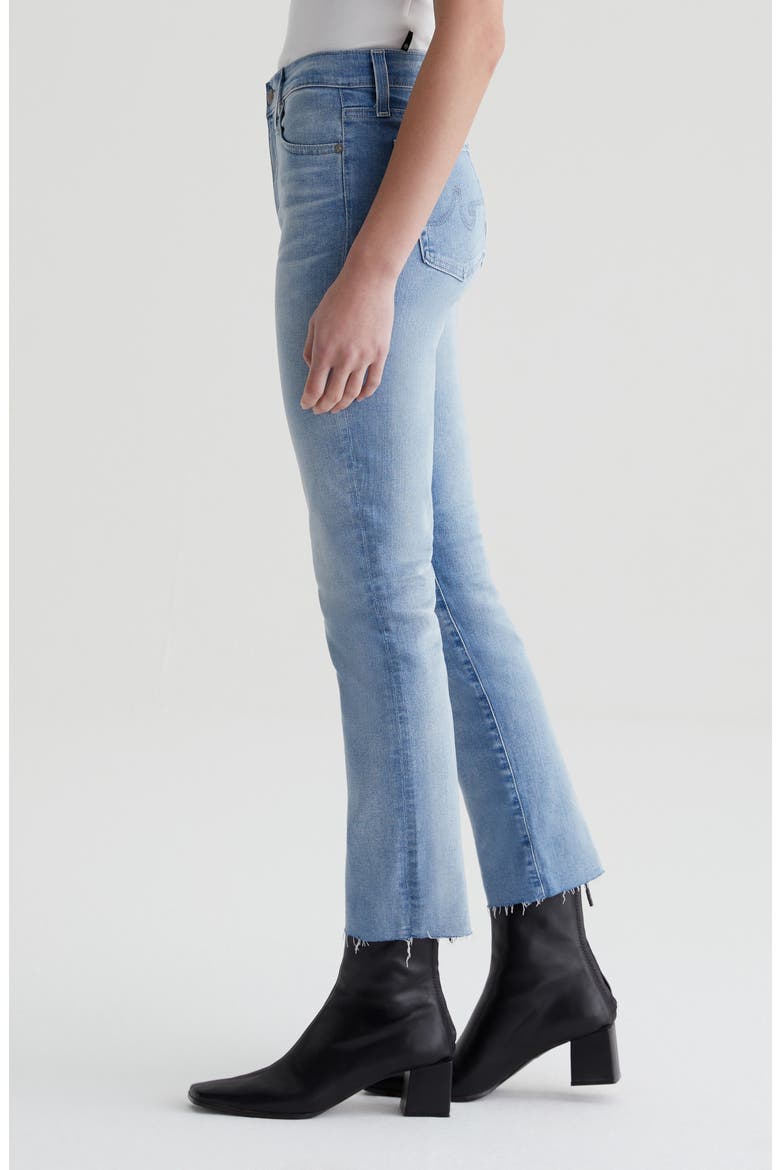 Mari Raw Hem High Waist Crop Straight Leg Jeans, Alternate, color, 24 YEARS LOOKING GLASS