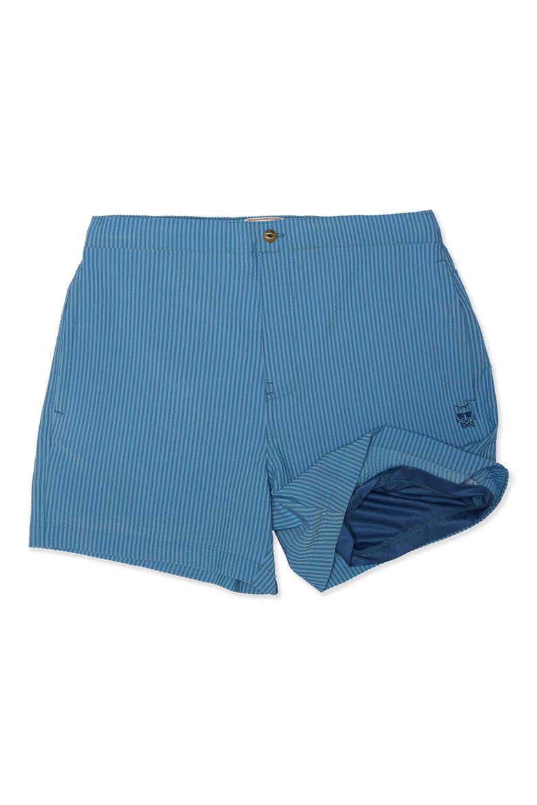 Mullet Seersucker Striped Swim Trunks, Alternate, color, BLUE
