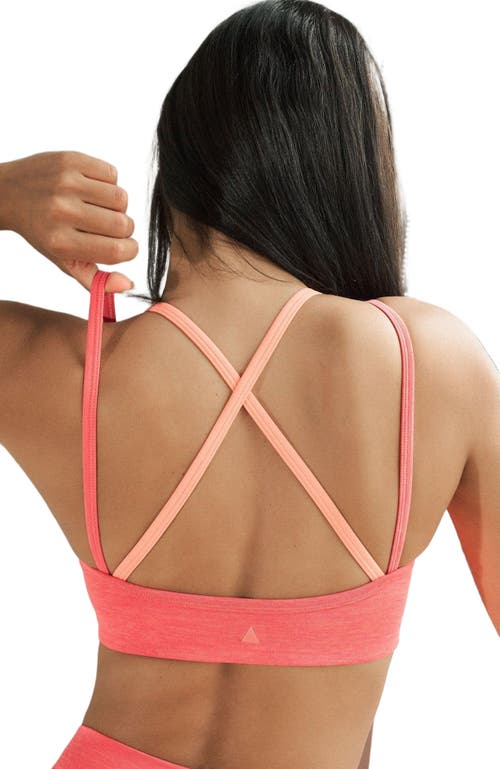 Vitality Daydream X Bra In Pink