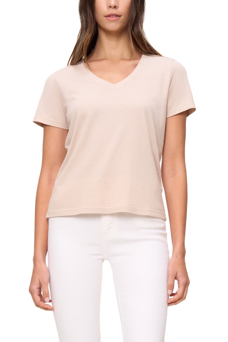 The Organic Cotton V-Neck Tee, Main, color, Oat