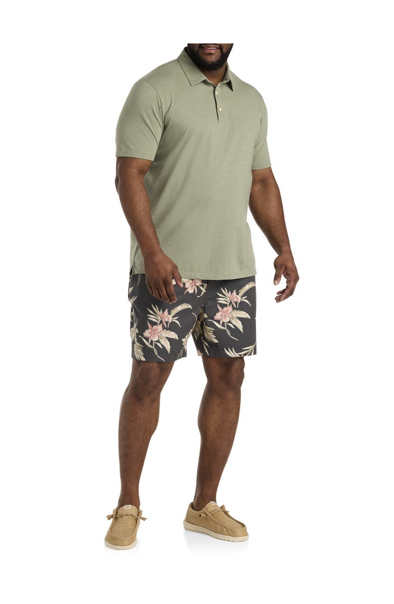 Faherty Big & Tall Sunwashed Polo Shirt, Alternate, color, 