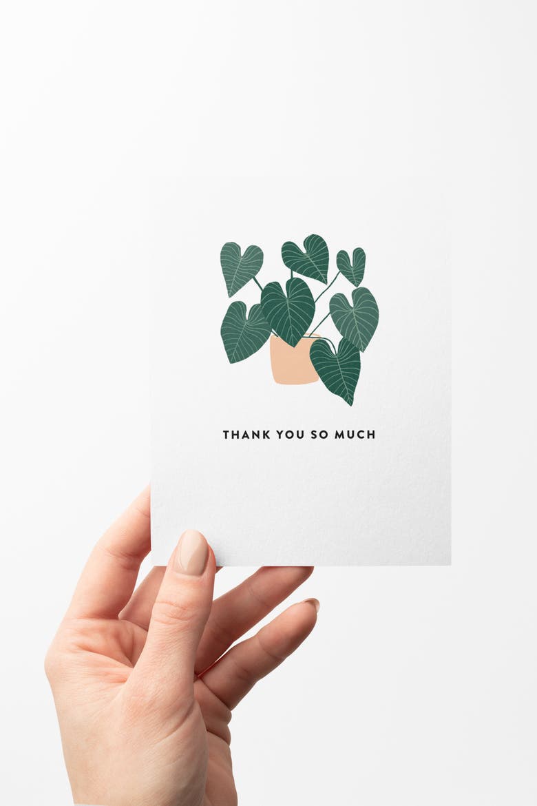 Thank You House Plant Boxed Set of 8 Greeting Cards, Alternate, color, White, Teal, Coral