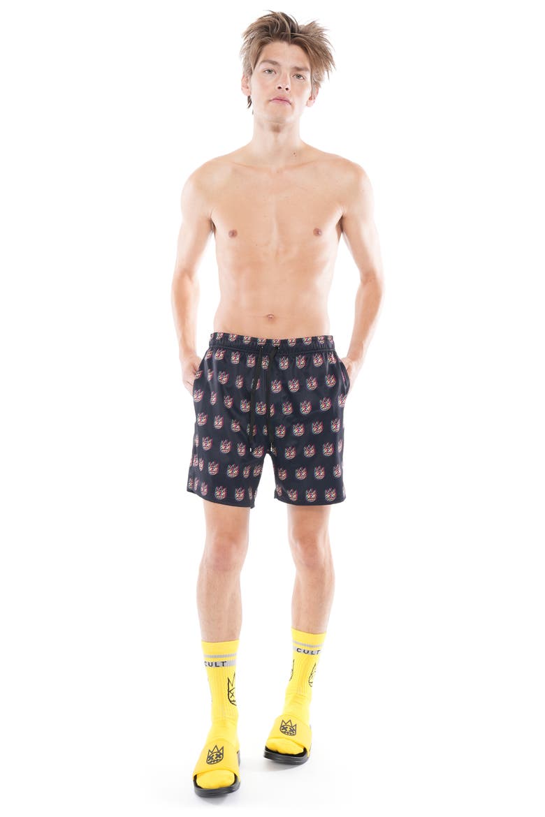 Shimuchan Swim Trunks, Alternate, color, TRIPPY