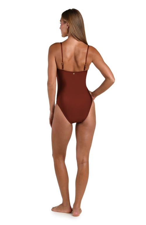 Sunshine 79 Solids Strapless One-piece Swimsuit In Brown