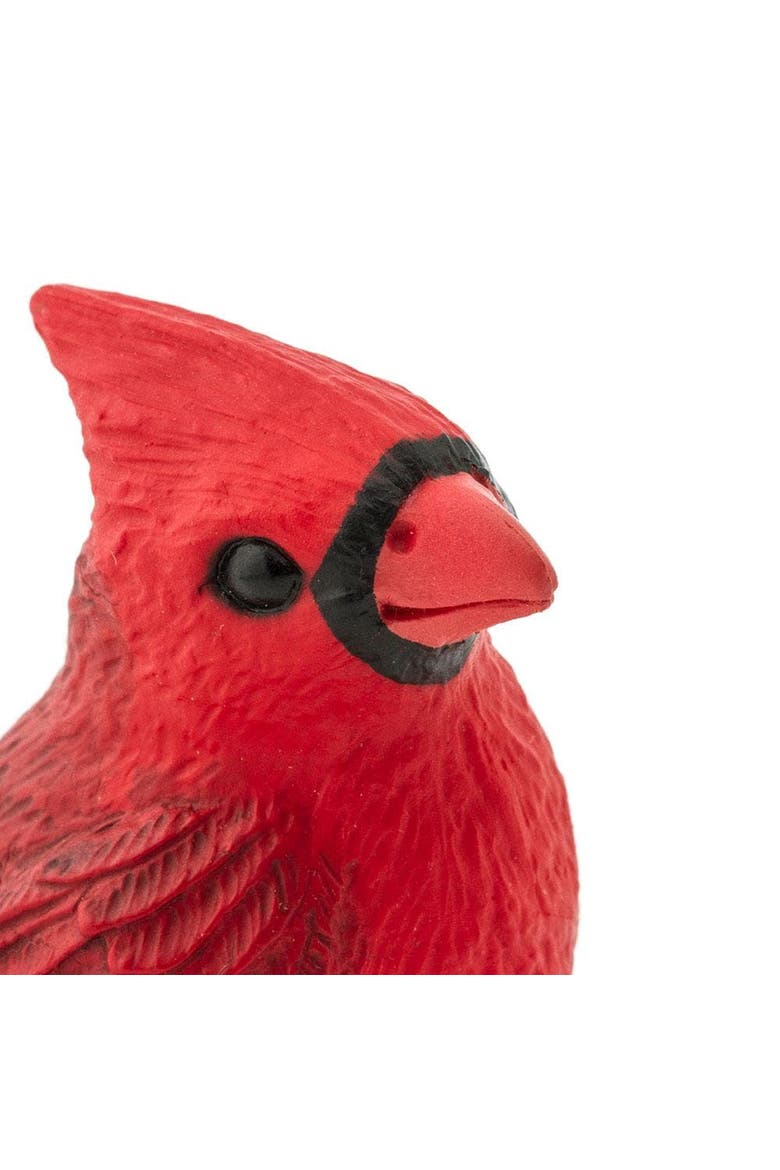 Cardinal Toy, Alternate, color, No Color