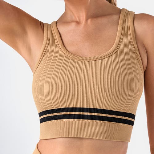 Tavi Seamless Vibe Rib Bra In Multi