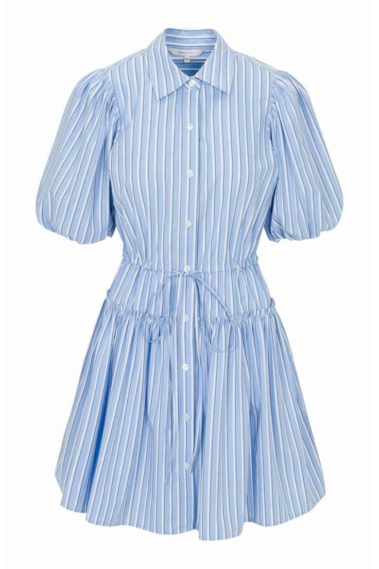 Priya Poplin Shirt Dress, Alternate, color, BLUE STRIPE COMBO