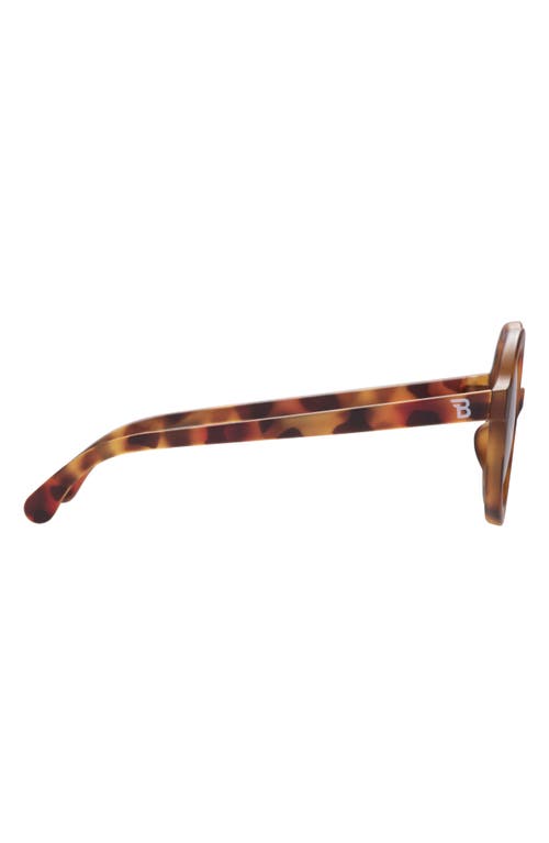 Babiators Kids' Euro Round Sunglasses In Brown