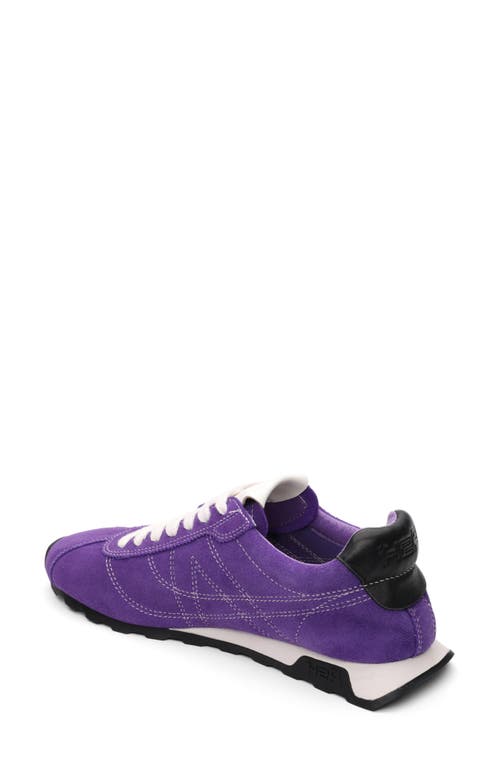 Ash Kill Bill Sneaker In Purple
