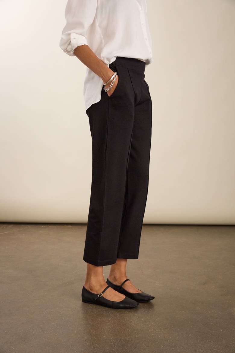 Ebru Ponte Straight Leg Crop Trousers, Alternate, color, Caviar Black