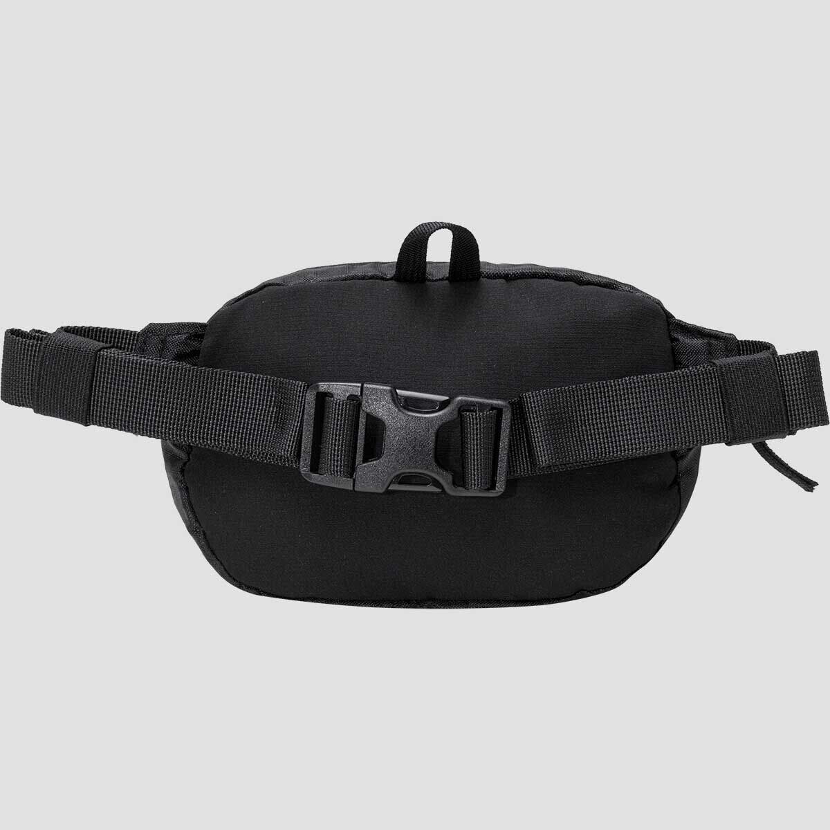 Backcountry Destination 1L Hip Pack, Alternate, color, 