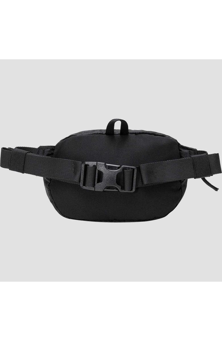 Backcountry Destination 1L Hip Pack, Alternate, color,