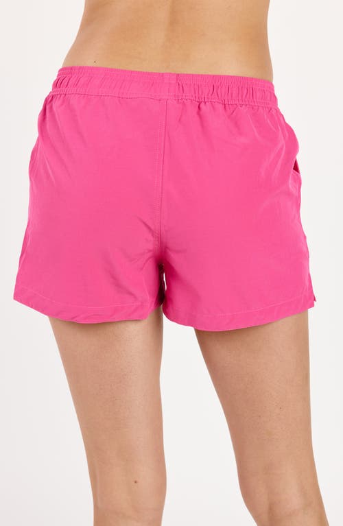 Calypsa Women's Plus 2"-3" Board Shorts In Purple