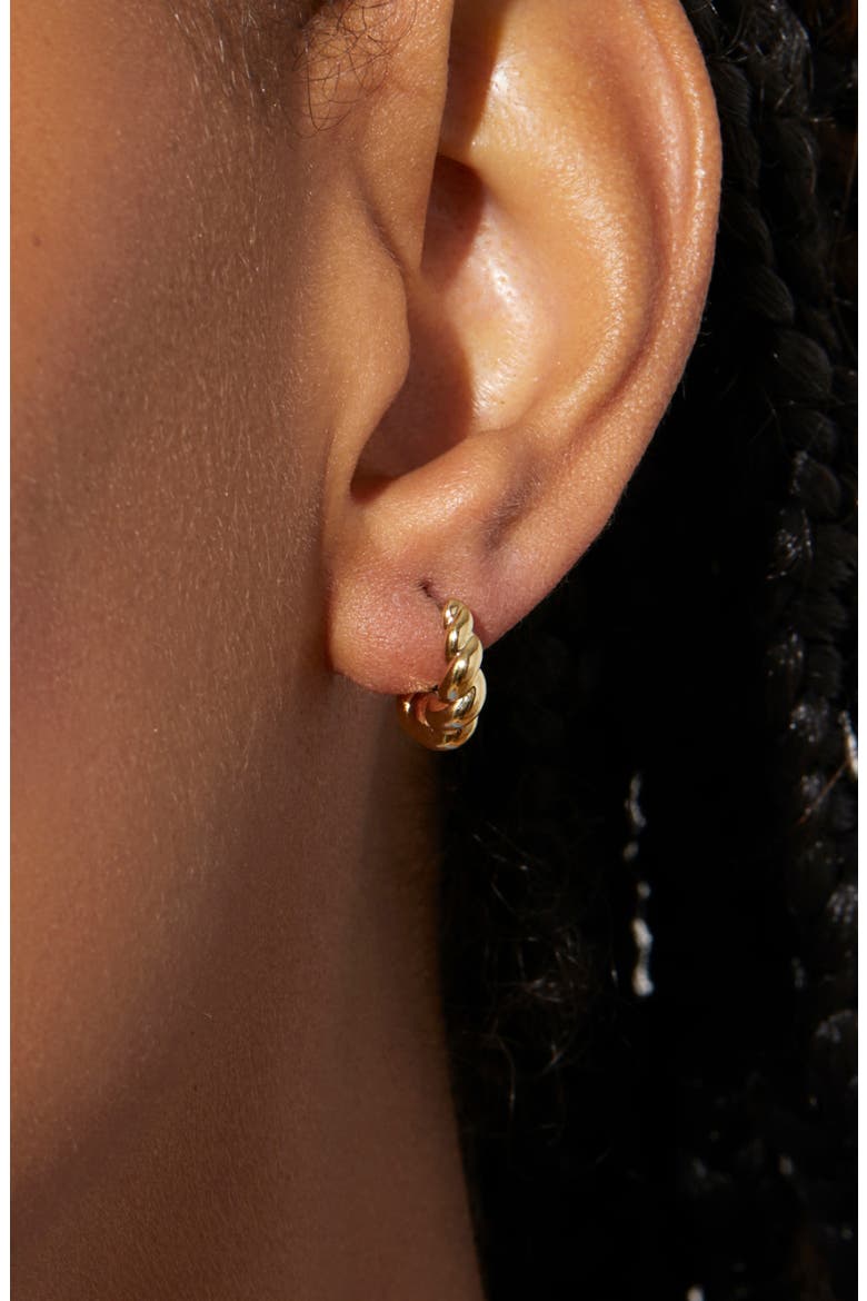 Twisted Hoop Earrings - Paris Mini, Alternate, color, Gold