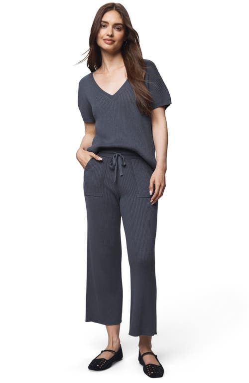 Splendid Georgie V-neck Short Sleeve Rib Sweater In Blue