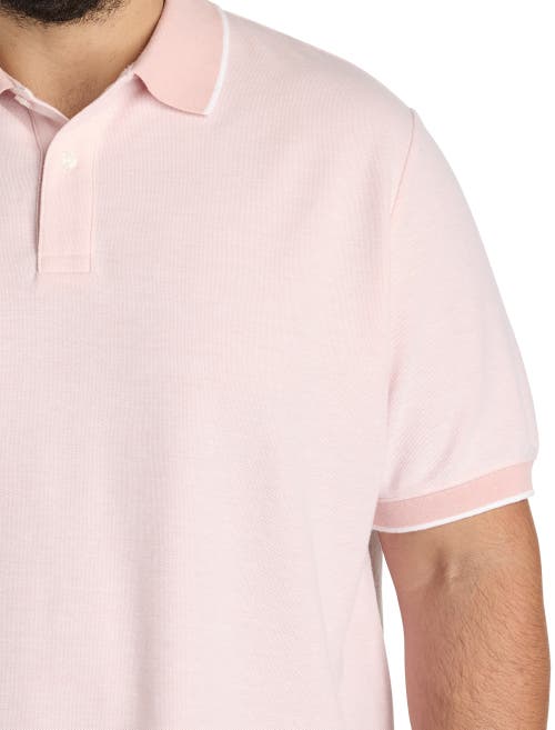 Harbor Bay By Dxl Big & Tall Oxford Tipped Polo Shirt In Pink