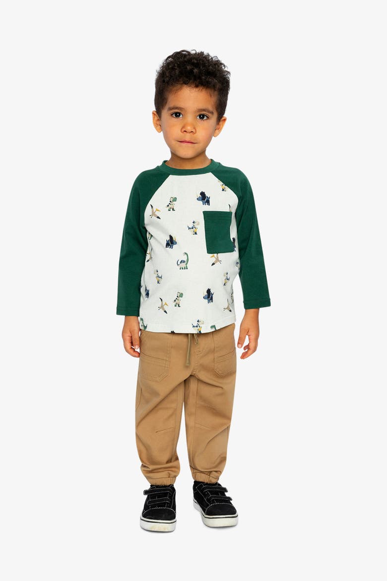 Raglan Dino Allover Crew Neck Long Sleeve T-Shirt, Alternate, color, Beige Dinosaur Print