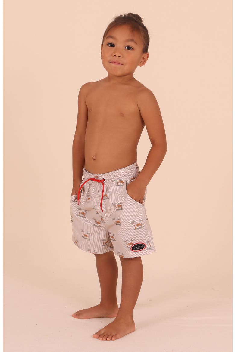 Kids' Chillin' Stripe UPF 50+ Swim Trunks, Alternate, color, BEIGE MULTI