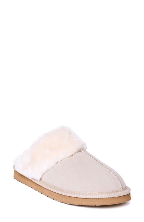 Chesney Mule Slipper (Women)