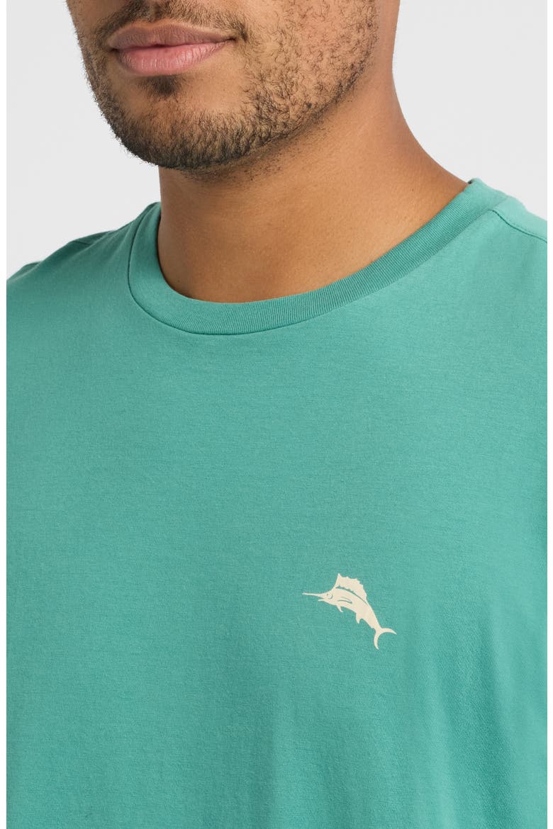 Golden Shores Graphic Tee, Alternate, color, ARUBA