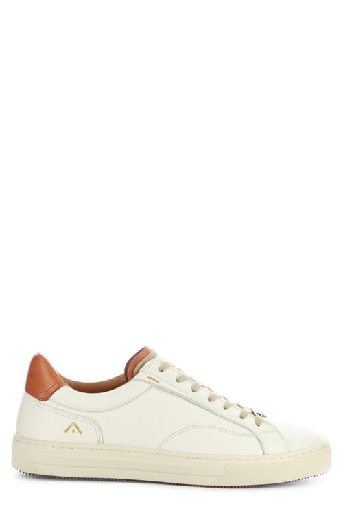 AMBITIOUS AMBITIOUS 12403 LOW TOP SNEAKER