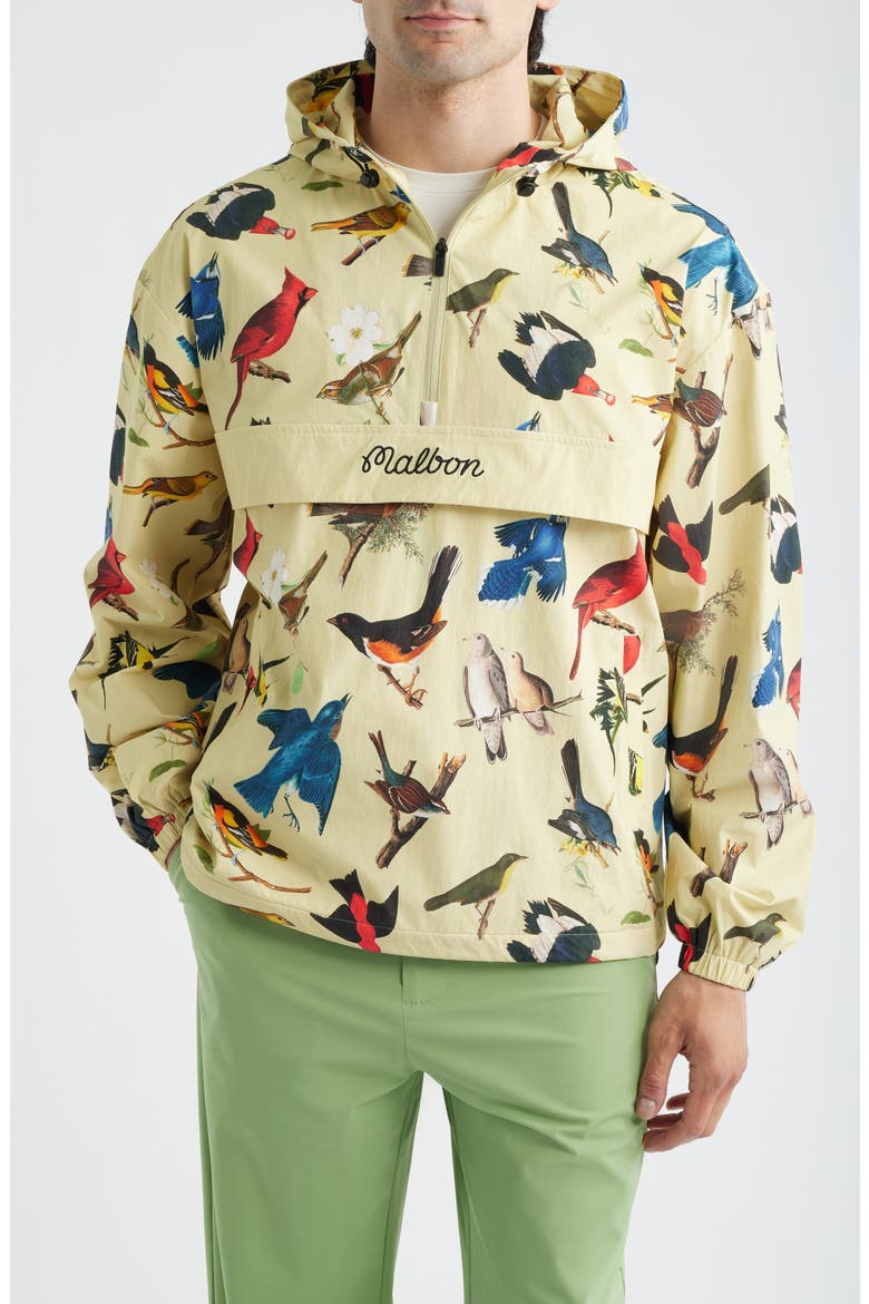 Birds of Georgia Print Ridge Quarter Zip Anorak Jacket, Main, color, BIRD PRINT